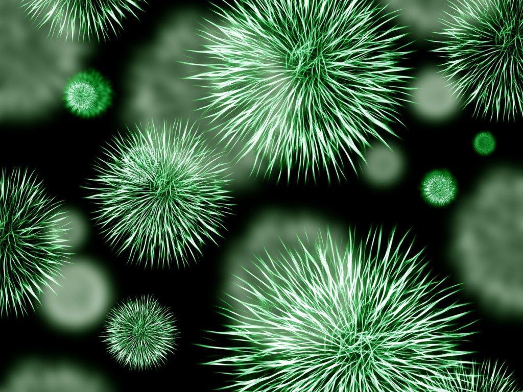 bacteria in closeup