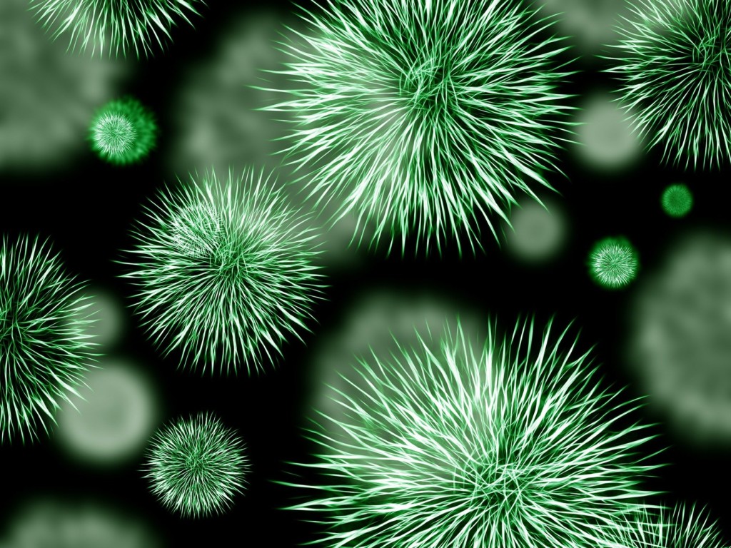 green bacteria closeup
