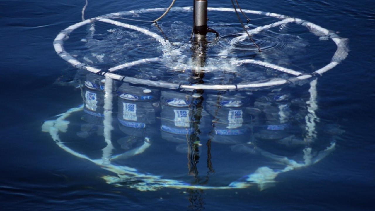 The Importance of Water Conductivity - Sensorex Liquid Analysis