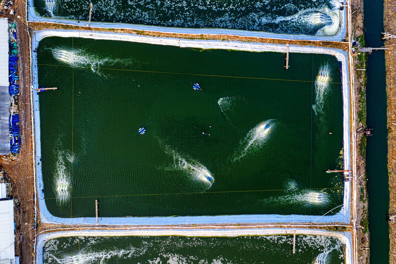 different types of fish farming