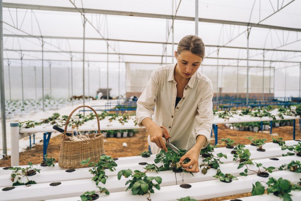 Woman with Hydroponic System